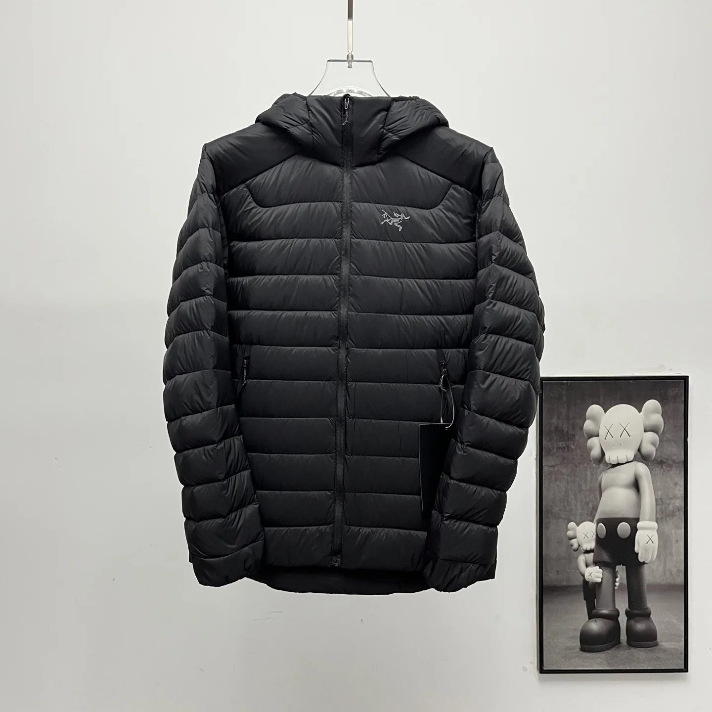 ARCTERYX Cerium Hoody Down Jacket (90% Goose Down, Premium Version)