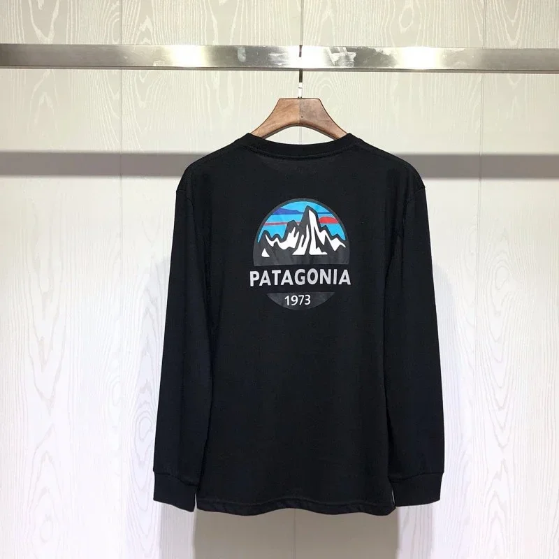 Patagonia 1973 Mountain Graphic Tee